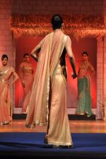 at B D Somani_s Resort Rampage Silhouttes 2014 fashion show by Wendell Rodrigues in Mumbai on 4th May 2014 (70)_53679dd521839.JPG