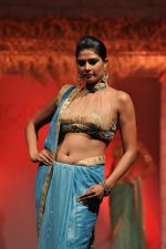at B D Somani_s Resort Rampage Silhouttes 2014 fashion show by Wendell Rodrigues in Mumbai on 4th May 2014 (71)_53679dd79cbfd.JPG