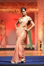 at B D Somani_s Resort Rampage Silhouttes 2014 fashion show by Wendell Rodrigues in Mumbai on 4th May 2014 (72)_53679dda946cb.JPG
