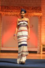 at B D Somani_s Resort Rampage Silhouttes 2014 fashion show by Wendell Rodrigues in Mumbai on 4th May 2014 (84)_53679dfed4365.JPG