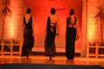 at B D Somani_s Resort Rampage Silhouttes 2014 fashion show by Wendell Rodrigues in Mumbai on 4th May 2014 (87)_53679e070d41f.JPG