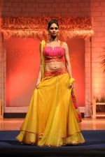 at B D Somani_s Resort Rampage Silhouttes 2014 fashion show by Wendell Rodrigues in Mumbai on 4th May 2014 (88)_53679e09a8a05.JPG