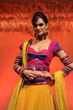 at B D Somani_s Resort Rampage Silhouttes 2014 fashion show by Wendell Rodrigues in Mumbai on 4th May 2014 (89)_53679e0c5073c.JPG