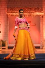 at B D Somani_s Resort Rampage Silhouttes 2014 fashion show by Wendell Rodrigues in Mumbai on 4th May 2014 (90)_53679e0f10df3.JPG