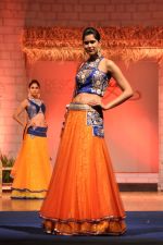 at B D Somani_s Resort Rampage Silhouttes 2014 fashion show by Wendell Rodrigues in Mumbai on 4th May 2014 (91)_53679e120dbcc.JPG