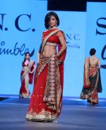 walks for Shaina NC at Pidilite CPAA Show in NSCI, Mumbai on 11th May 2014 (128)_5370b53774d6f.JPG
