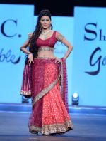 walks for Shaina NC at Pidilite CPAA Show in NSCI, Mumbai on 11th May 2014 (40)_5370b3ee132eb.JPG