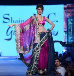 walks for Shaina NC at Pidilite CPAA Show in NSCI, Mumbai on 11th May 2014 (43)_5370b40290d81.JPG