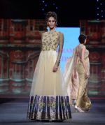 walks for Vikram Phadnis at Pidilite CPAA Show in NSCI, Mumbai on 11th May 2014  (70)_5370b50a65d72.JPG