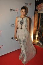 Shaheen Abbas at Modart fashion show in Sea Princess, Mumbai on 13th May 2014 (20)_537363e66733a.JPG
