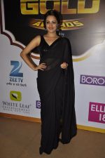 Anita Hassanandani at Gold Awards red carpet in Filmistan, Mumbai on 17th May 2014 (407)_5378a18886825.JPG