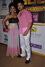 Gurmeet Chaudhary, Debina Chaudhary at Gold Awards red carpet in Filmistan, Mumbai on 17th May 2014 (355)_5378a4aa91ce7.JPG