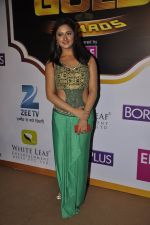Rashmi Desai at Gold Awards red carpet in Filmistan, Mumbai on 17th May 2014 (468)_5378a58154dc3.JPG