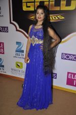 at Gold Awards red carpet in Filmistan, Mumbai on 17th May 2014 (240)_5378a19bd12a7.JPG