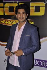 at Gold Awards red carpet in Filmistan, Mumbai on 17th May 2014 (278)_5378a19ee5586.JPG