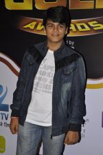 at Gold Awards red carpet in Filmistan, Mumbai on 17th May 2014 (296)_5378a1a4dd683.JPG