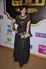 at Gold Awards red carpet in Filmistan, Mumbai on 17th May 2014 (309)_5378a1a8701b4.JPG