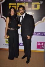 at Gold Awards red carpet in Filmistan, Mumbai on 17th May 2014 (321)_5378a1ad81d89.JPG