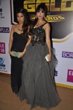 at Gold Awards red carpet in Filmistan, Mumbai on 17th May 2014 (384)_5378a1b69b02a.JPG