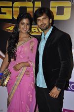 at Gold Awards red carpet in Filmistan, Mumbai on 17th May 2014 (428)_5378a1c0df035.JPG