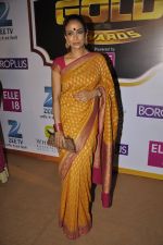 at Gold Awards red carpet in Filmistan, Mumbai on 17th May 2014 (435)_5378a1c4a741c.JPG