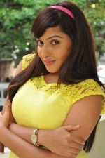 Anjana Deshpande (150)_5379d34cb3e7a.jpg