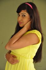 Anjana Deshpande (202)_5379d36c33ffe.jpg