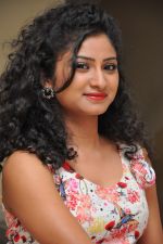 Vishnu Priya (107)_5379d5e1d0814.jpg