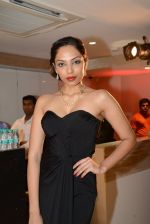 at Zoya launches its new store & stunning new collection Fire in Mumbai on 22nd May 2014 (101)_537f26e6f2f27.JPG