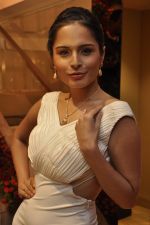at Zoya launches its new store & stunning new collection Fire in Mumbai on 22nd May 2014 (19)_537f26d021195.JPG