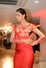 at Zoya launches its new store & stunning new collection Fire in Mumbai on 22nd May 2014 (95)_537f26e3c4445.JPG
