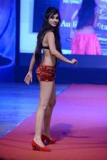 at Pefect Miss Mumbai beauty contest in St Andrews, Mumbai on 24th May 2014 (105)_5381c32c0d6e0.JPG