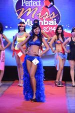 at Pefect Miss Mumbai beauty contest in St Andrews, Mumbai on 24th May 2014 (147)_5381c34308b60.JPG