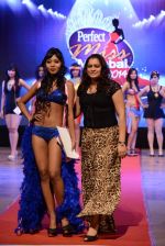 at Pefect Miss Mumbai beauty contest in St Andrews, Mumbai on 24th May 2014 (149)_5381c34411ef3.JPG