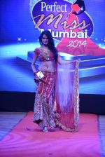 at Pefect Miss Mumbai beauty contest in St Andrews, Mumbai on 24th May 2014 (196)_5381c35920e64.JPG