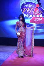 at Pefect Miss Mumbai beauty contest in St Andrews, Mumbai on 24th May 2014 (197)_5381c359b461f.JPG