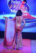 at Pefect Miss Mumbai beauty contest in St Andrews, Mumbai on 24th May 2014 (203)_5381c35cd5ff5.JPG