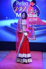 at Pefect Miss Mumbai beauty contest in St Andrews, Mumbai on 24th May 2014 (211)_5381c360e258f.JPG