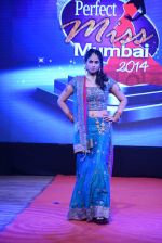 at Pefect Miss Mumbai beauty contest in St Andrews, Mumbai on 24th May 2014 (215)_5381c362ede19.JPG