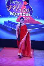 at Pefect Miss Mumbai beauty contest in St Andrews, Mumbai on 24th May 2014 (219)_5381c364f15ac.JPG
