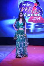 at Pefect Miss Mumbai beauty contest in St Andrews, Mumbai on 24th May 2014 (235)_5381c36da910b.JPG