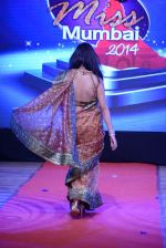 at Pefect Miss Mumbai beauty contest in St Andrews, Mumbai on 24th May 2014 (241)_5381c370b47cd.JPG