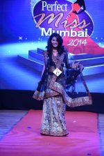 at Pefect Miss Mumbai beauty contest in St Andrews, Mumbai on 24th May 2014 (248)_5381c37475607.JPG
