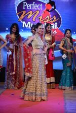 at Pefect Miss Mumbai beauty contest in St Andrews, Mumbai on 24th May 2014 (254)_5381c3777f220.JPG