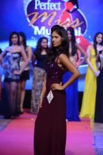 at Pefect Miss Mumbai beauty contest in St Andrews, Mumbai on 24th May 2014 (286)_5381c385c4a14.JPG