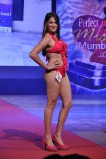 at Pefect Miss Mumbai beauty contest in St Andrews, Mumbai on 24th May 2014 (3)_5381c2f9eed55.JPG