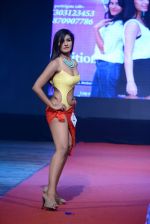 at Pefect Miss Mumbai beauty contest in St Andrews, Mumbai on 24th May 2014 (78)_5381c31aeac17.JPG