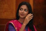 Amala paul  (3)_538587600c0bb.jpg