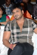 Karthikeya Movie Audio Launch (66)_538593c277500.jpg