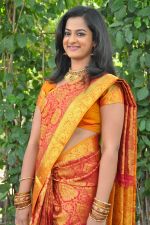 Nanditha (108)_538594ff81f5a.jpg